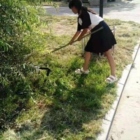 王馨悦暑假实践活动，开学啦！开学啦！