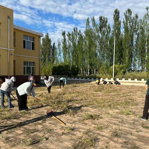 除草护绿净校园 ，劳动开启新学期‖巴彦诺尔第二小学开学除草活动