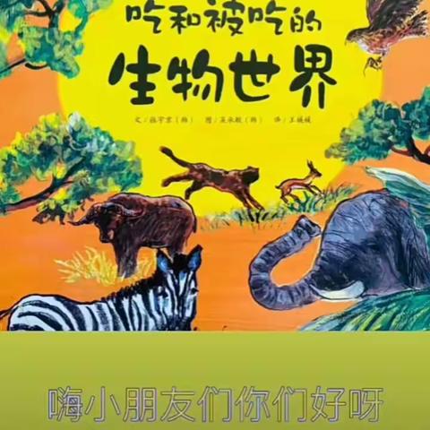 大一班科学探究第二弹｜神秘的食物链