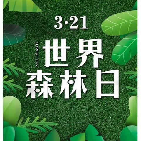 保护森林     人人有责—广信区第一小学一14班主题班会