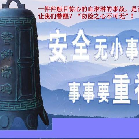 【附中学子这样过暑假】忻州师范学院附属外国语中学初361班魏子斐2024年暑假假期实践活动小记