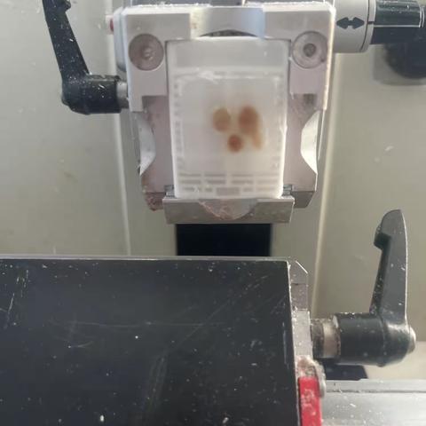 切片时蜡块的夹法