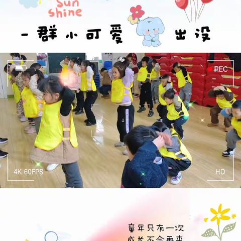 铁建丽苑幼儿园🌺🌺——菠萝二班🍍🍍——第十六周🤗🤗