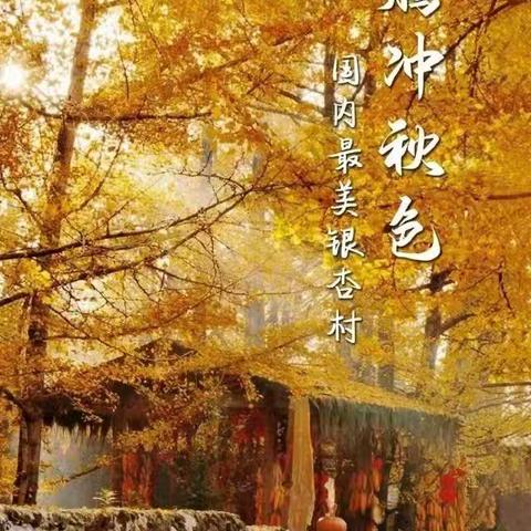 宜春明月唯途旅行特价福利公告