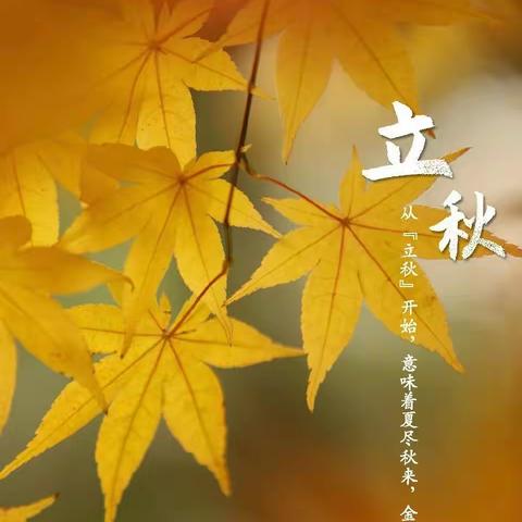 天庆花园物业服务中心八月份工作简报
