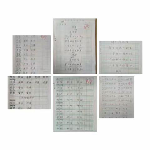 寒假作业展风采 不负时光促成长——金郝庄镇任官屯小学寒假优秀作业展评