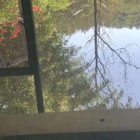 五（4）班刘仕宸的假期生活