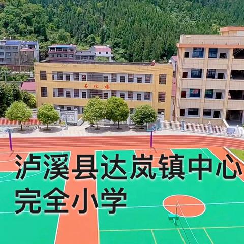 全员培训促提升，学教融合谋发展——2024年泸溪县达岚小学暑期全员培训