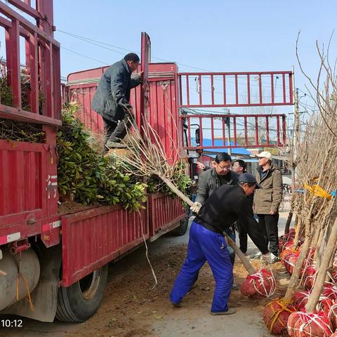 李唐马村开展“添绿增彩”义务植树活动，共筑绿色家园