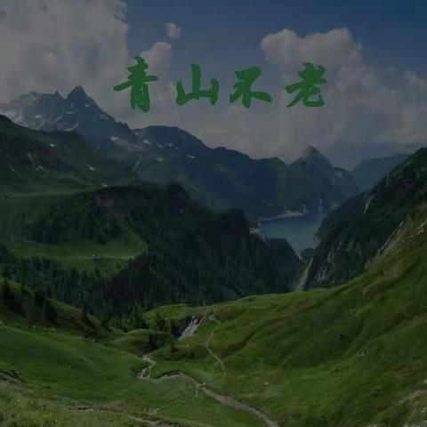 【求真•孟园】山川共存，日月同辉——六语组《青山不老》研讨课