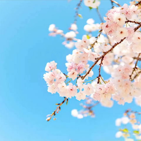 农行服务暖夕阳，小小举动显温情