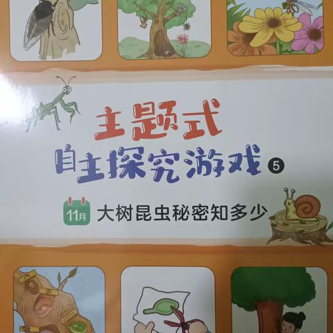 11月份主题《大树昆虫秘密知多少》发布