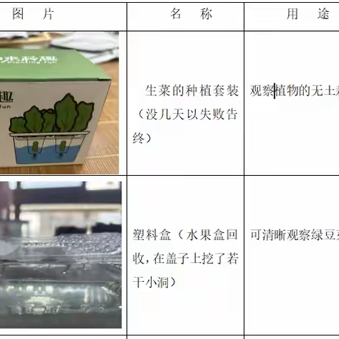 探索绿色奇迹：无土栽培 Vs 有土栽培