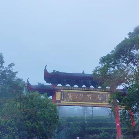 竹林游侠记