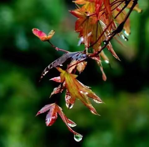 长城物业|   绿地智慧金融城F区2023年10月月报