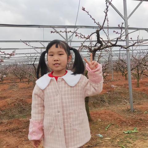 周子桓日常生活摄影