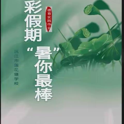 莲花塘学校2023年暑假德育作业  325班胡芷妍