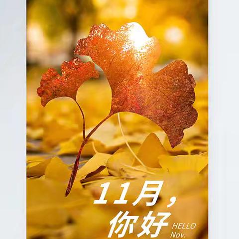 三隆项目部11月份简报