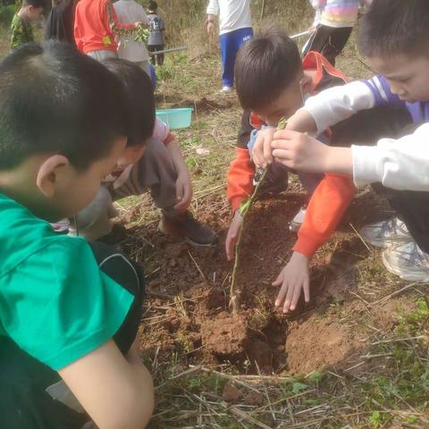 【寻味春天】——植树节活动