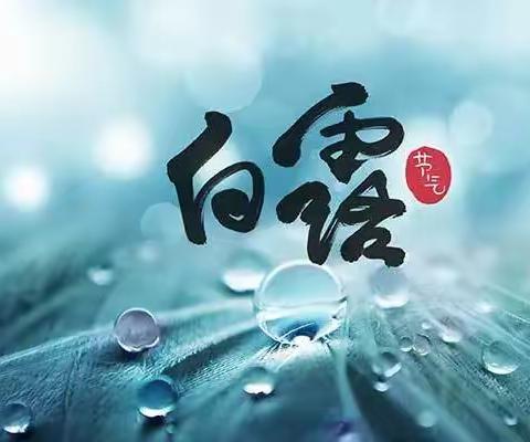 “蒹葭苍苍，白露为霜”——冷水江市第一小学三（1）班白露节气实践活动