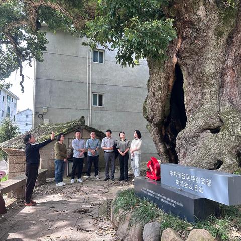 我在缙云过党日——追寻红色革命足迹  追思革命先烈遗志