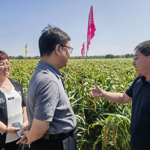 长治市潞城区人民政府2023年9月1日工作动态