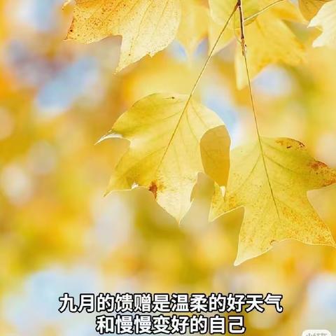 新秋聚心，乘风而行——水东镇中心小学开学工作会议