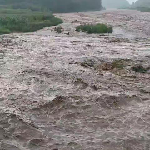 河北佰隆项目部7.30水毁抢险纪实