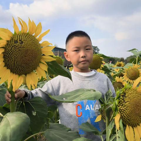 百善孝为先，孝为德之本