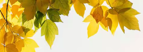 风起青蘋舞众芳  浪成微澜激潮生  —— 2024年下学期义乌市初中英语教研组长论坛暨试题评析专题研讨