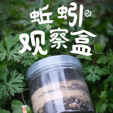 《玻璃瓶中的蚯蚓》三（5）班童禹乐