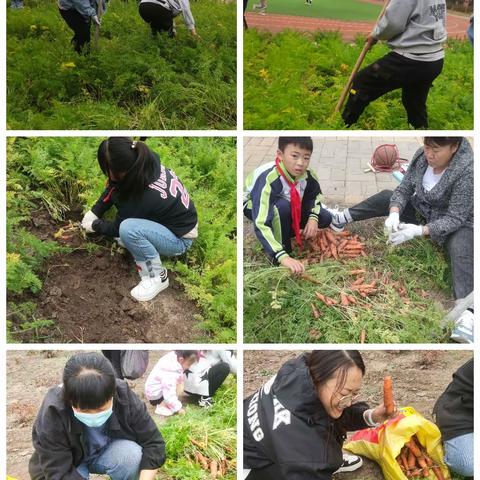 一分耕耘一分收获——宝日希勒小学五年三班秋收义卖活动