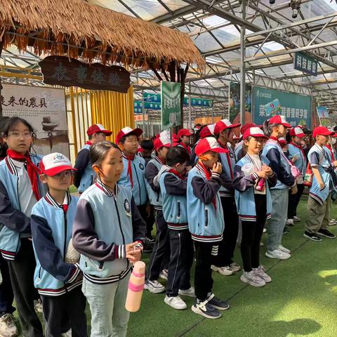 大观学校四年级八班寿光研学