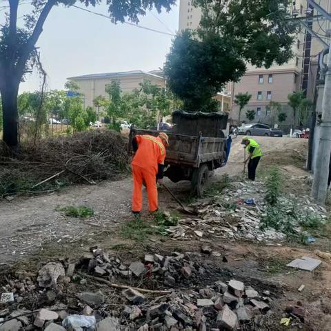 寨子村内环境卫生的守护者：环卫工人的日常清洁工作