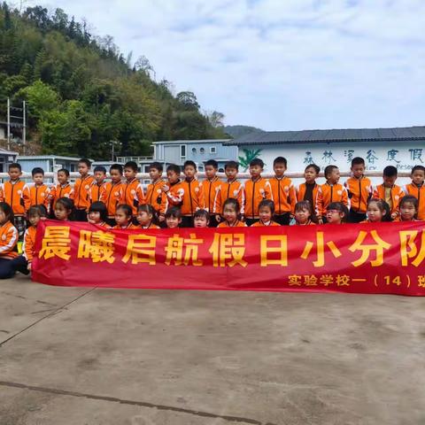 “植”此青绿，“树”写春天——李庄小学植树节系列活动