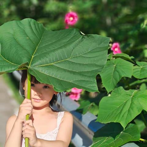 暑假不惑-柞水县城区第二小学一年级3班李紫晨曦暑期活动实践