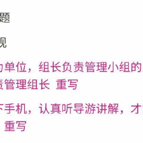 冯嘉卉小组一社会实践活动：火山岩之旅（修改版本2）