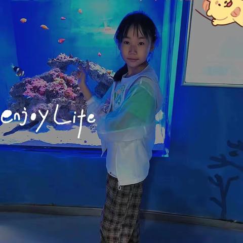 暑假实践作业——德宗旺姆