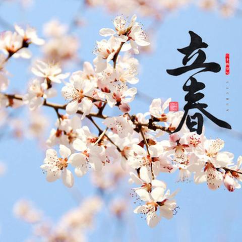 【十园·学前教育普及普惠】包钢十园家庭教育指导方案——立春