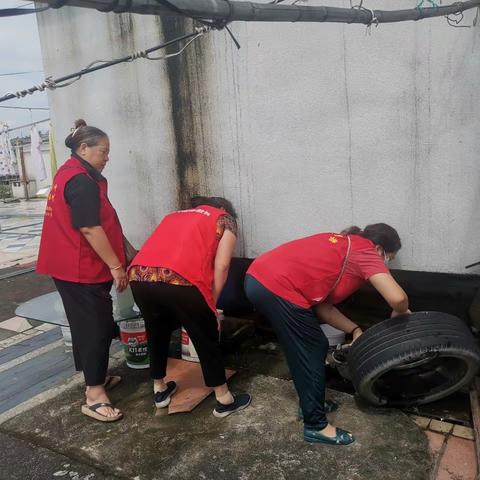 苍霞街道台风海葵之后爱国卫生运动