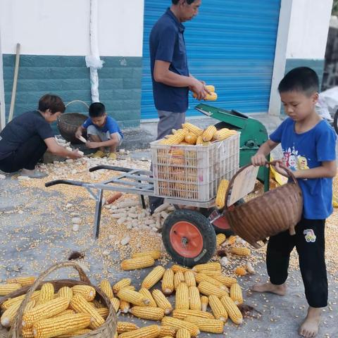 2023年“艺润童心 得泽少年”暑期系列实践活动 304班  杨景涵杨景博