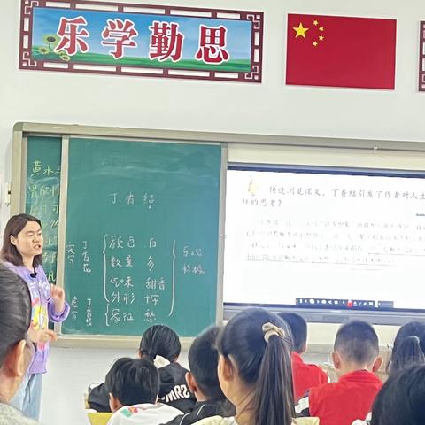 【关爱学生 幸福成长】——白马小学六年级上册语文《丁香结》公开课