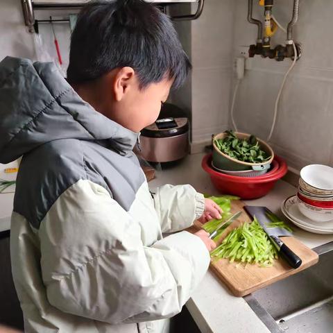 ｜策马迎春，趣暖寒假：2026年寒假生活特辑‌‌