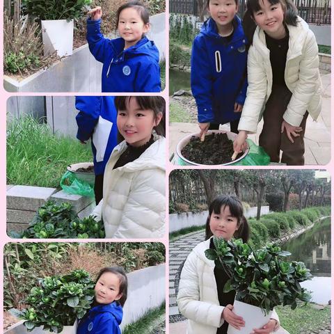 环城二小  二（6）班植树节活动