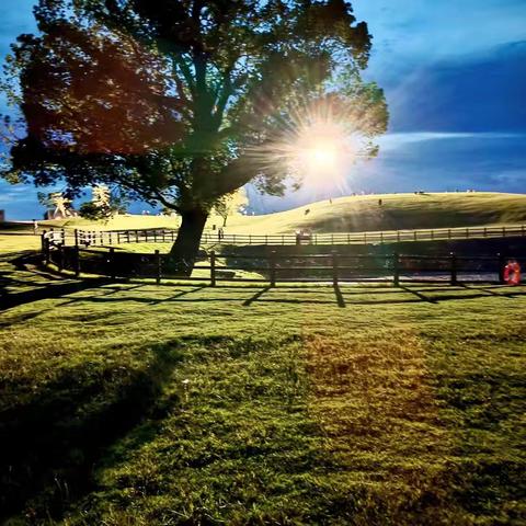 “食”光有你 “味”爱同行