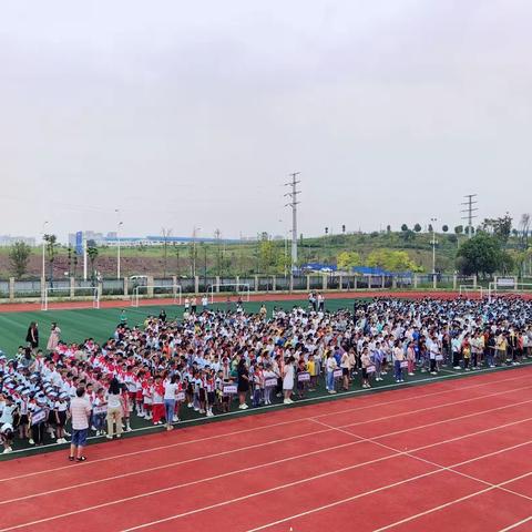 意气风发开学礼，豪情壮志谱新篇——茶花九义校2023年秋开学典礼