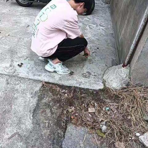 社会实践活动