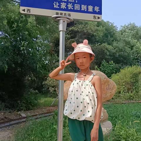 徐水小学赵婉钰暑期实践活动