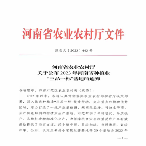 浚县小河镇大白菜基地荣获2023年河南省种植业“三品一标”示范基地