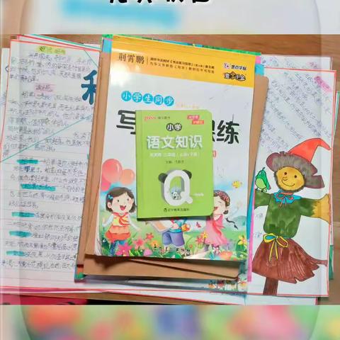 丰富多彩的假期生活––李庭伟